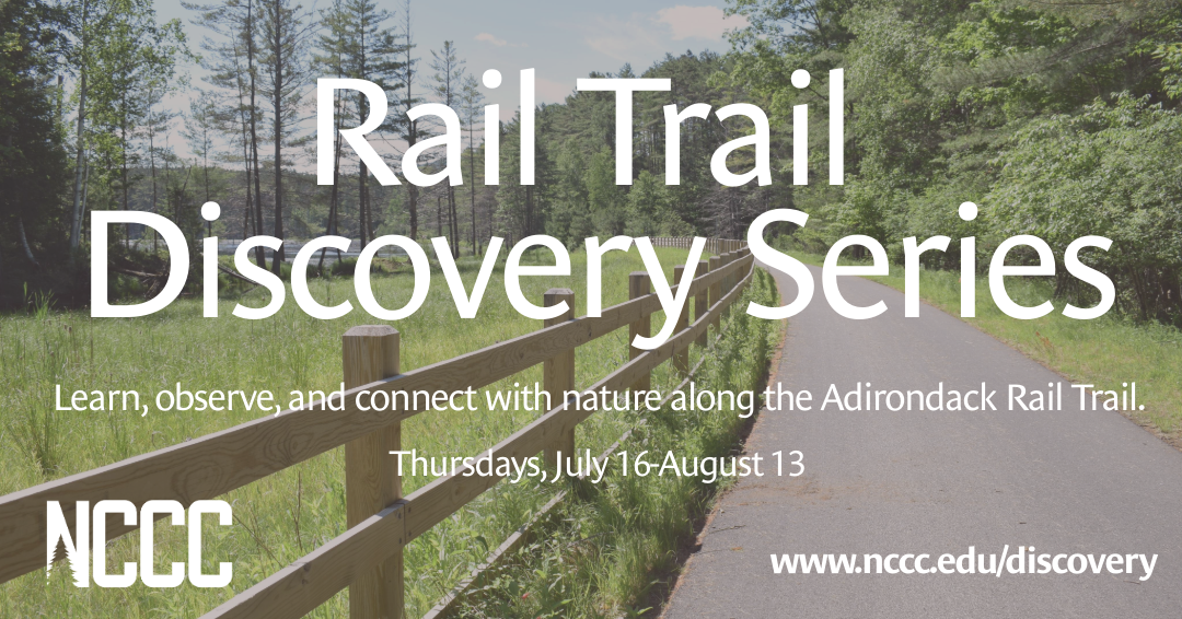 Join North Country Community College for our new Rail Trail Discovery Series — a free lineup of guided nature walks along the Adirondack Rail Trail The Adirondack Rail Trail set against a backdrop of tress and water with the words Rail Trail Discovery Series, learn, observe and connect with nature along the Adirondack Rail Trail. Thursdays from July 16 to August 13.
