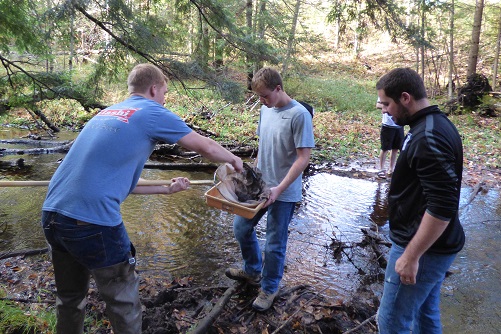 Students working in the field.