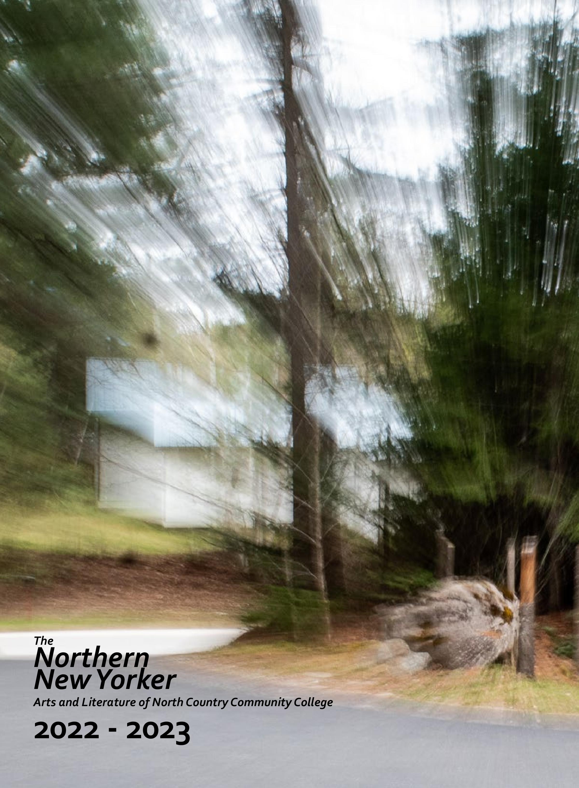 A blurry image of trees, rocks and a road 