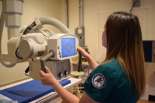 Radiologic Technology